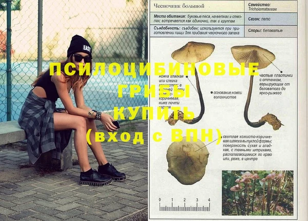 прущая мука Богородск