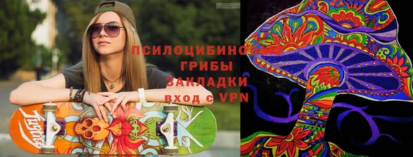 прущая мука Богородск